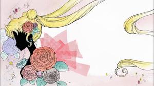 Sailor Moon Title Card sailor moon wallpaper