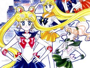 Sailor Moon Usagi Tsukino sailor moon wallpaper