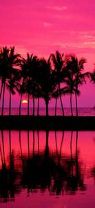 Samsung Galaxy S22 Beach Sunset samsung galaxy s22 wallpaper
