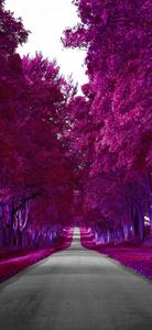 Samsung Galaxy S22 Purple Autumn samsung galaxy s22 wallpaper
