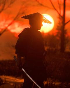 Samurai In Sunset samurai wallpaper