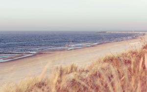 Sandy Beaches and Calm Waters beach wallpaper