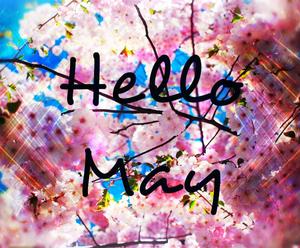 Say hello to May may wallpaper