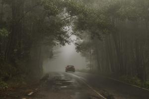Scary Foggy Road Picture scary wallpaper