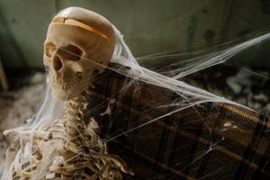 Scary Skeleton And Spider Web Pictures scary wallpaper