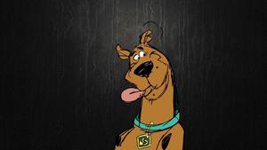Scooby Doo and the gang take a break for a snack cartoon wallpaper