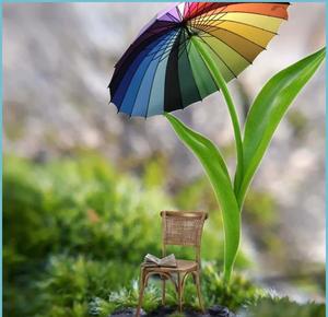 Search for inner peace. whatsapp dp wallpaper