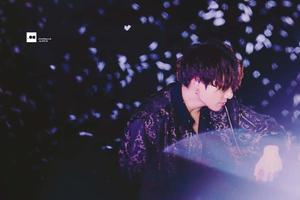Seize life's moments as Jungkook does jungkook wallpaper