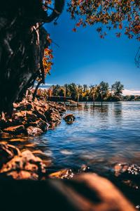 Serene Beauty of Nature nature wallpaper