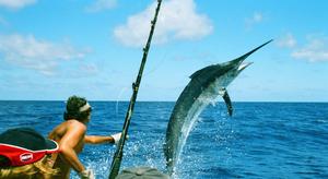 Serene Fishing Experience at Sunrise fishing wallpaper