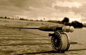 Serene Fishing Experience at Sunset fishing wallpaper