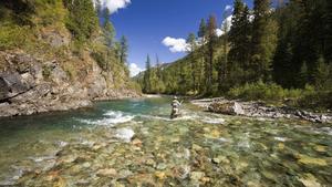 Serene Fishing Experience on the Lake fishing wallpaper