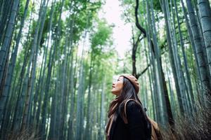 Serene Scenic Beauty - A Tranquil Landscape of Nature nature wallpaper