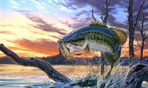 Serene Sunset Fishing Scene fishing wallpaper