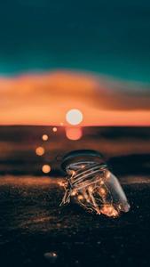 Serene Sunset on the Lake home screen wallpaper