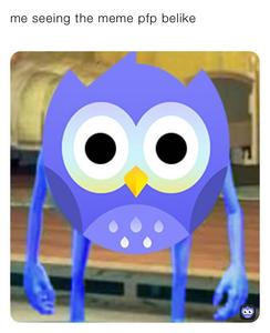 Shocked Owl Meme PFP meme pfp wallpaper