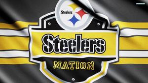 Show Your Love For The Steelers! steelers wallpaper