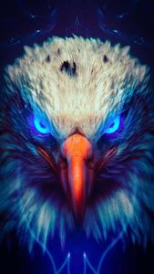 Showcase your strength with the Eagle Iphone eagle iphone wallpaper