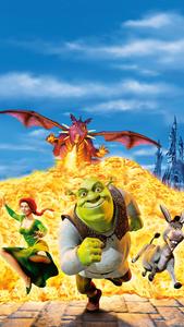 Shrek Dragon Poster shrek wallpaper