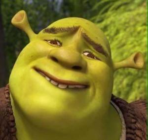 Shrek-ing it up! funny shrek wallpaper