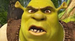 Shrek Living the Good Life funny shrek wallpaper