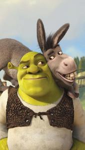 Shrek Making an Impression funny shrek wallpaper