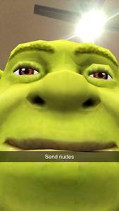 Shrek Nudes Meme PFP meme pfp wallpaper
