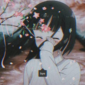 Shy Lady Anime PFP anime pfp wallpaper