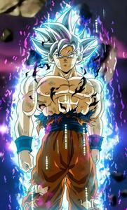 Silver Son Goku Ultra Instinct goku ultra instinct wallpaper