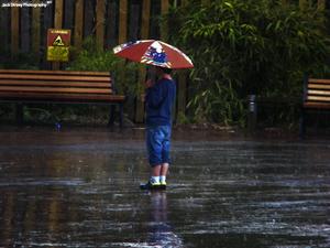 Single Boy With Umbrella In Rain single boy wallpaper