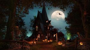 Skeleton Halloween Pictures halloween wallpaper