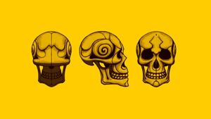 Skull Background skull wallpaper