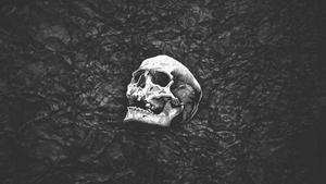 Skull Background skull wallpaper