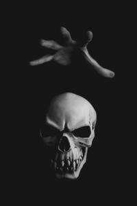 Skull Background skull wallpaper