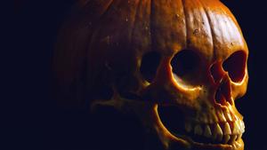 Skull Background skull wallpaper