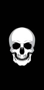 Skull Background skull wallpaper