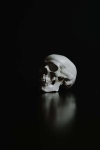 Skull Background skull wallpaper