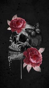 Skull Background skull wallpaper