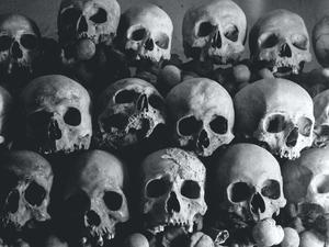 Skull Background skull wallpaper