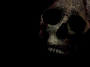 Skull Background skull wallpaper