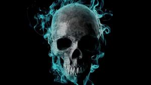 Skull Background skull wallpaper