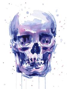 Skull pictures skull wallpaper