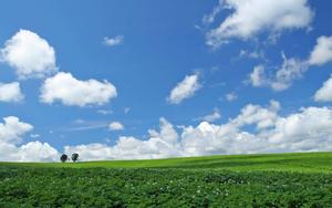 Sky Background Green Field sky wallpaper