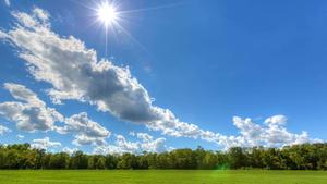 Sky Background Green Trees sky wallpaper