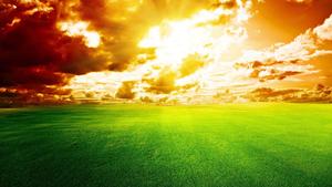 Sky Background Vast Green Field sky wallpaper