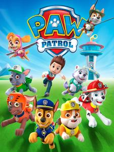Skye and Marshall of Paw Patrol Vigilantly Protect Adventure Bay! paw patrol wallpaper