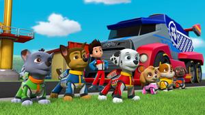 Skye and Rubble, the brave Paw Patrol pups! paw patrol wallpaper