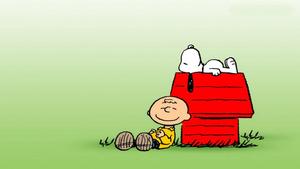 Snoopy and Charlie Brown – Best of Friends snoopy wallpaper