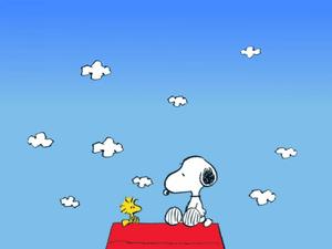 Snoopy and Woodstock Taking a Well-Earned Break snoopy wallpaper