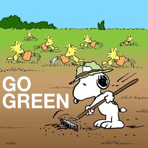 Snoopy chasing his dreams snoopy wallpaper